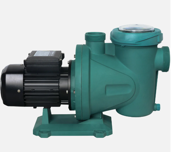 Bomba De Piscina Autocebante 1HP BERCATTI SWPS1-1000